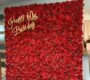 red-rose-flower-wall-backdrop