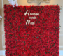 red-rose-flower-wall-backdrop