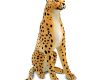 standing-cheetah-stuffed-animal