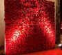 red-rose-flower-wall-backdrop