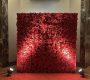 red-rose-flower-wall-backdrop