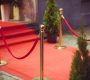 red-carpet-rental-412